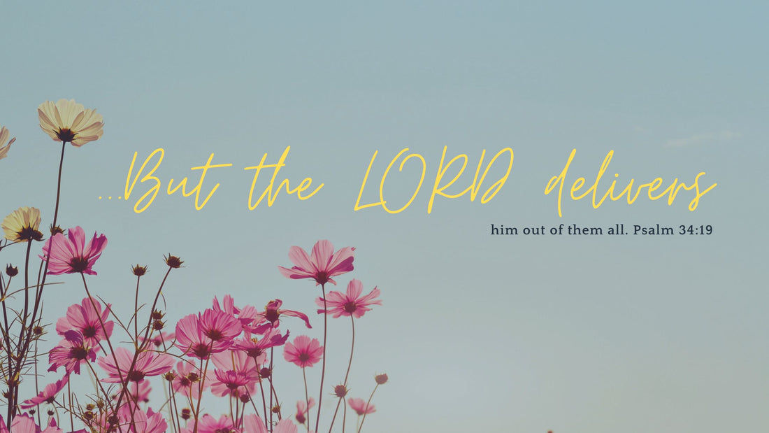 Do Not Despair